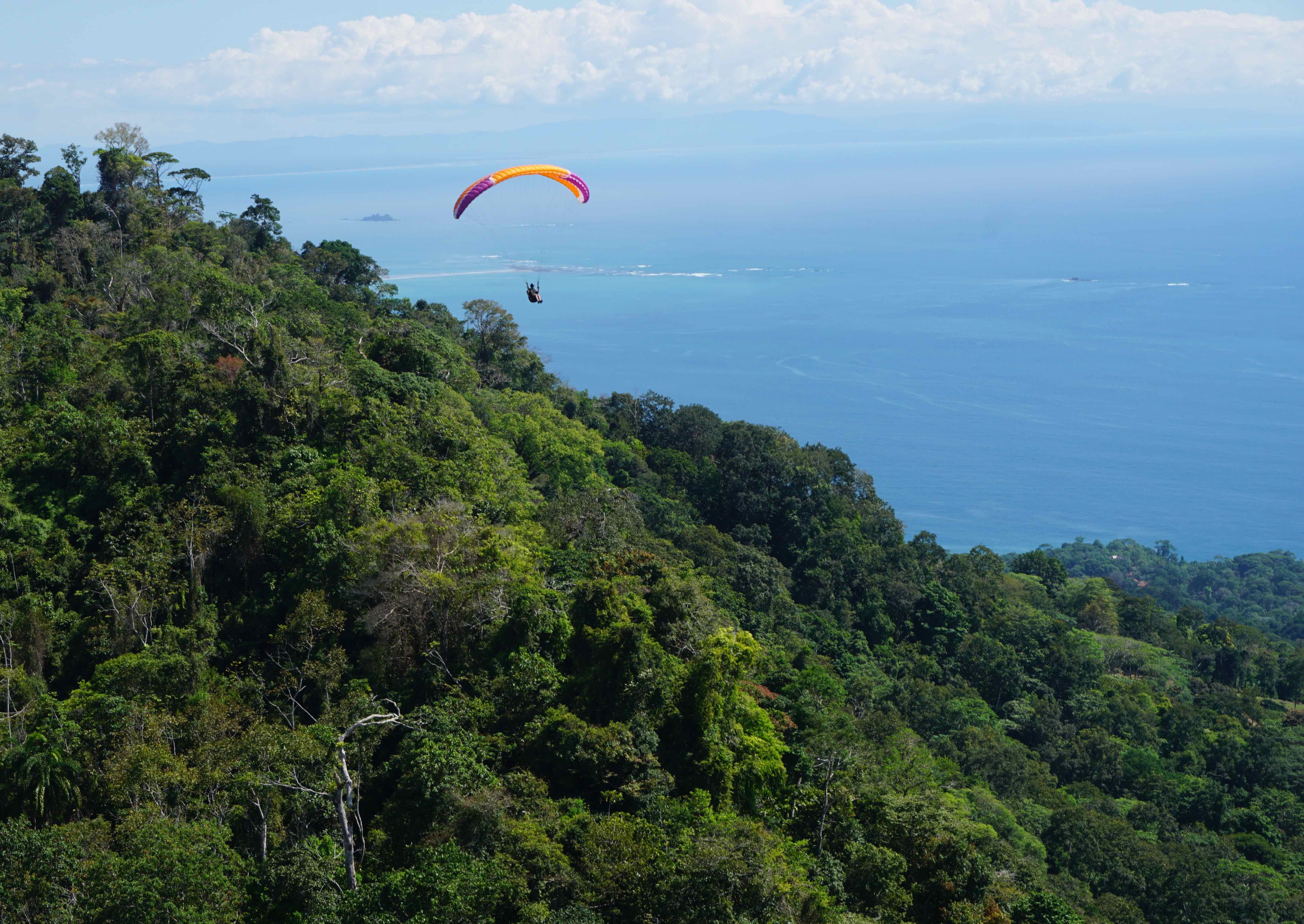  Tropical wet forrest 