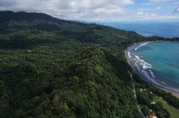  Dominical 