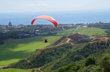  soaring Jaco 