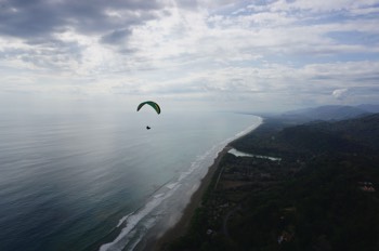  Dominical 